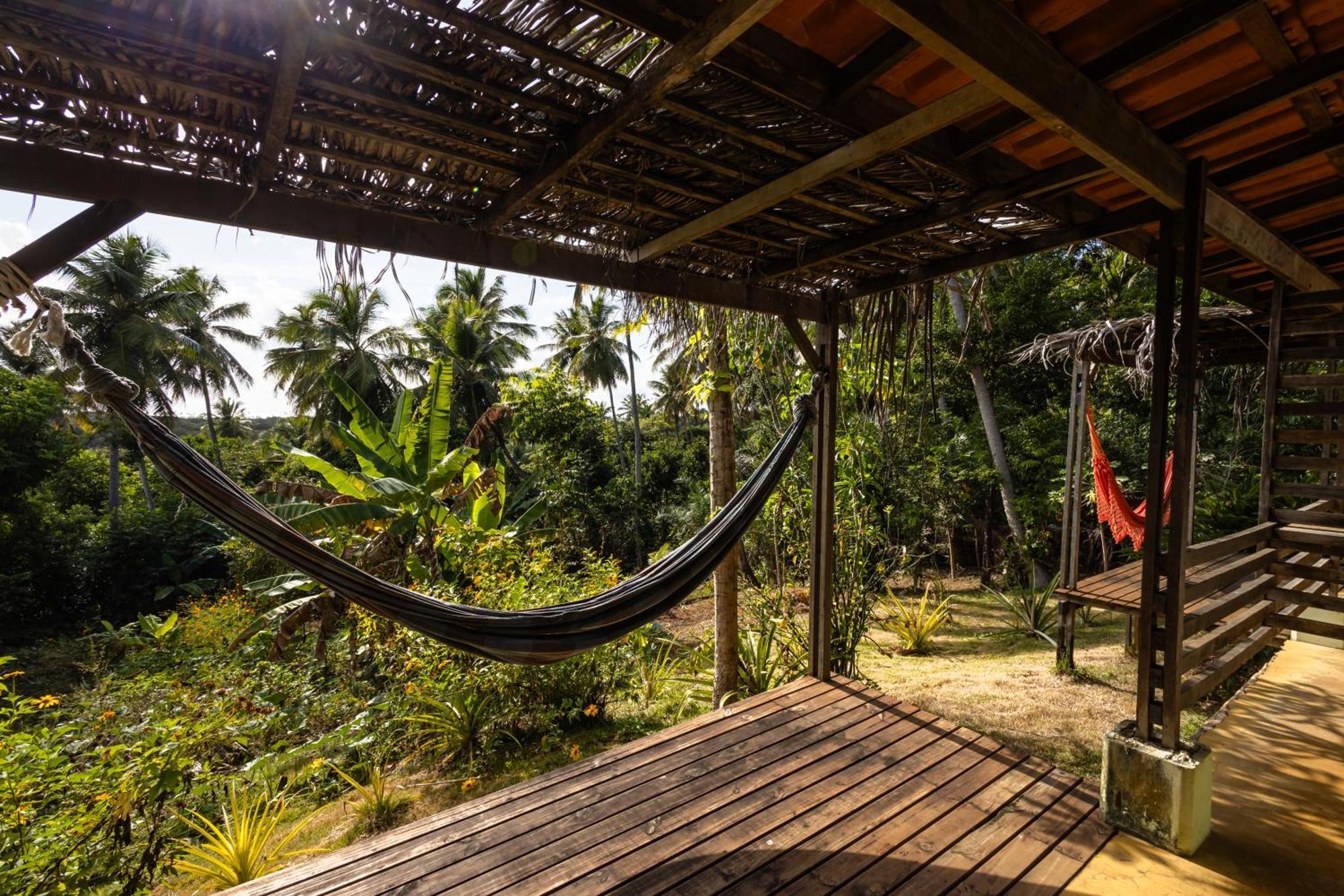 Hostel Flor Eco Centro *